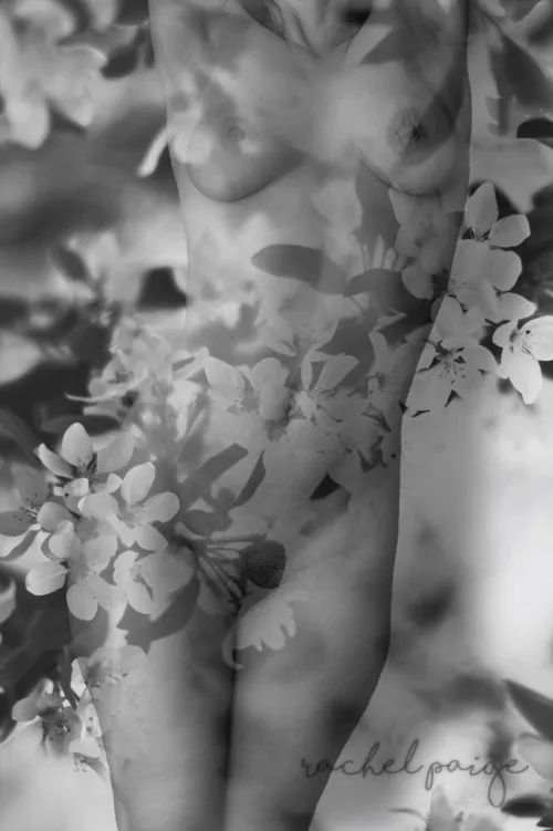 Reach by rachel_paige