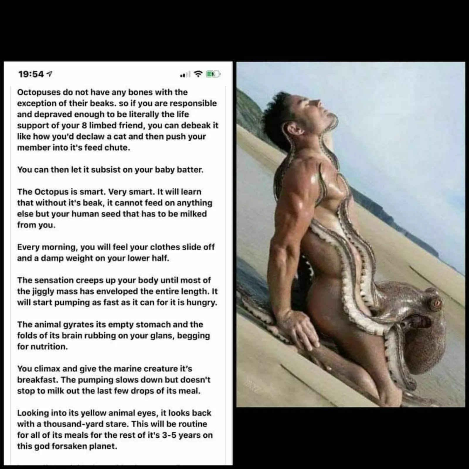 Read at own risk... posted by JohnnyWatsonn