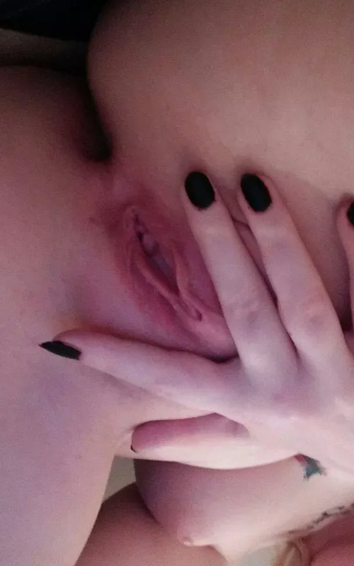 Ready by snoopchocolatedog