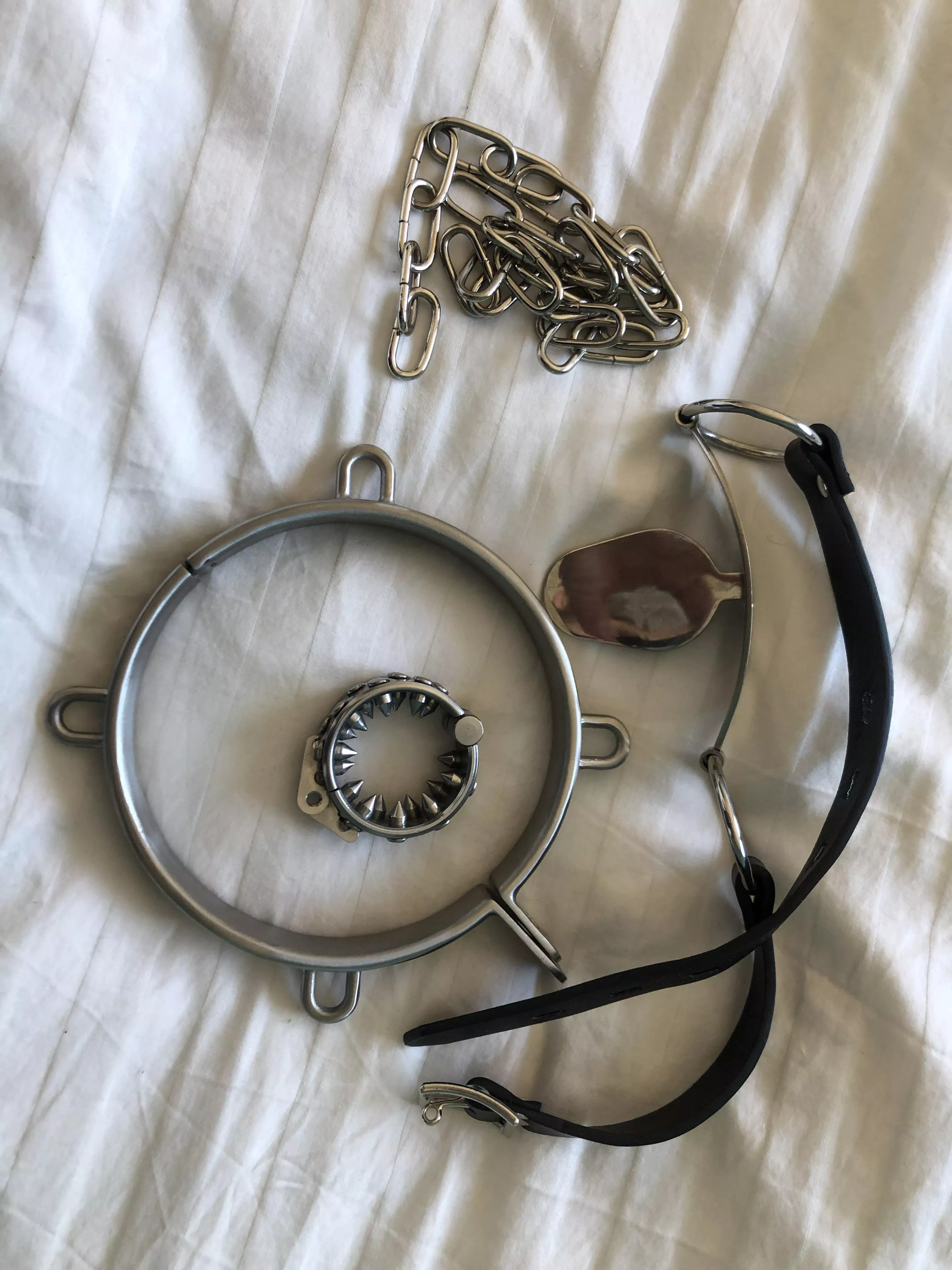 Ready for the weekend posted by braceboy66