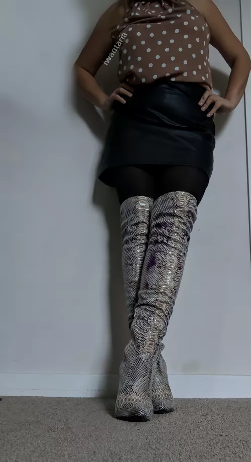 Ready for the weekend by iwantaria