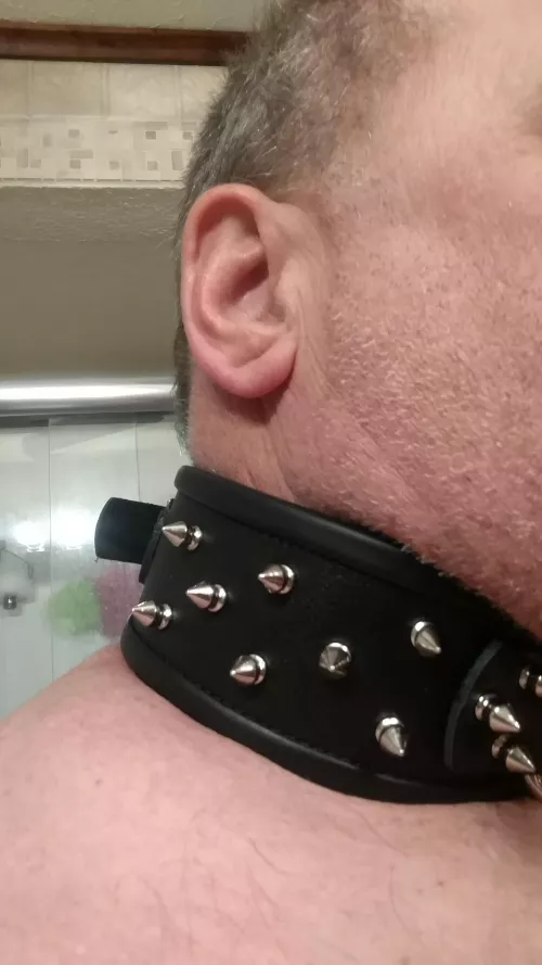 Ready for training. by footslaveX10