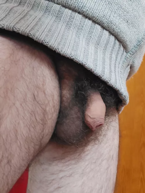 Ready for Winter by nastrucio