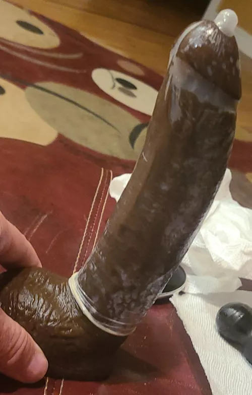 Ready for your harness 😍 by Sullybaddog