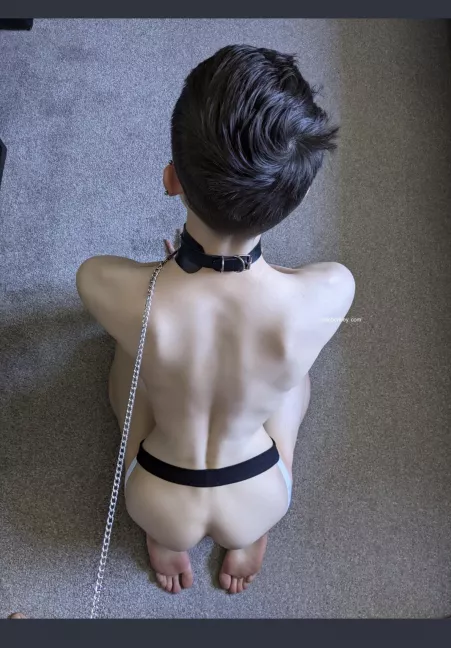 Ready sir! by barbanco07