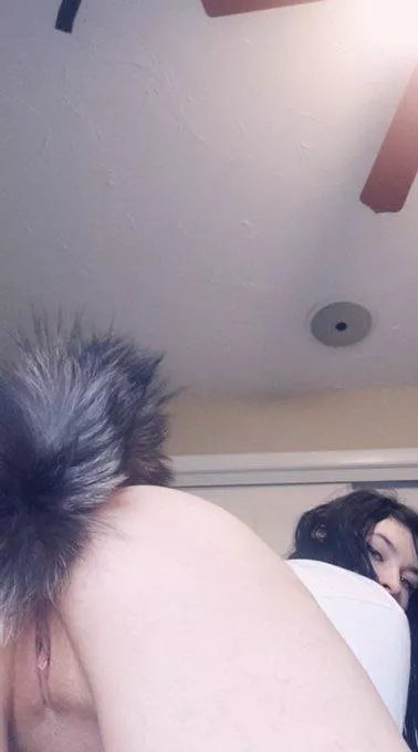 Ready To Be Mounted posted by HelpMeNaviChama