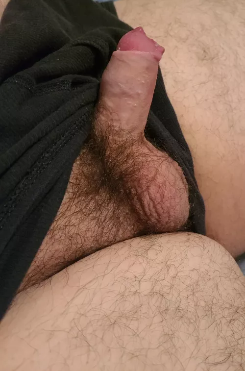 Ready to be sucked and fucked by throwawaybichub