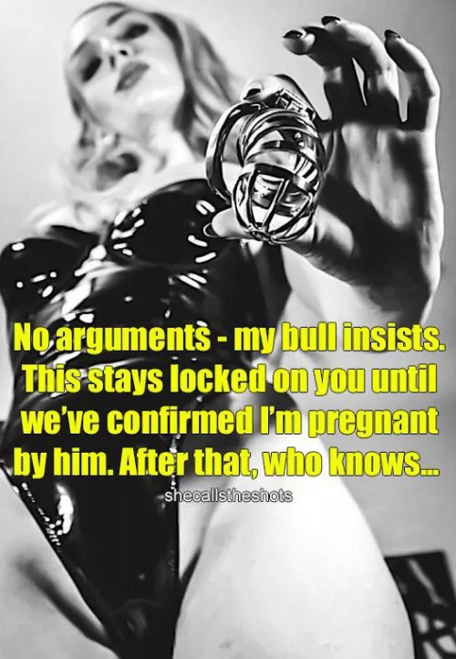 Ready to be the ultimate cuckold? by shecallstheshots