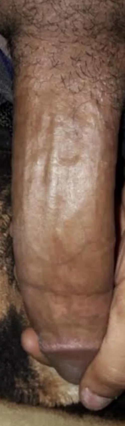 Ready to rock and roll in Dubai by stevesilva4