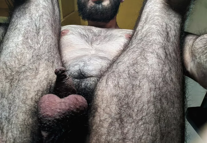 Ready to start by cocol_hasher