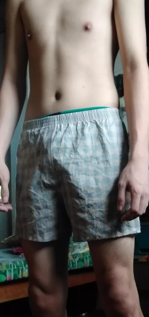 Real boxers by nysbaby