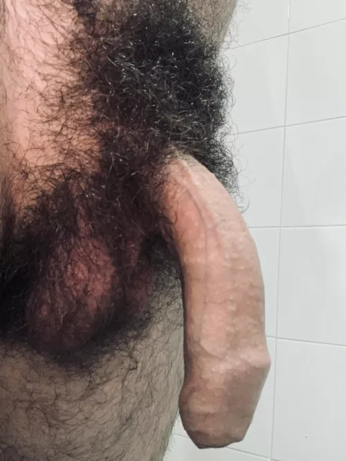 Real intact penis Dm by tokio6969