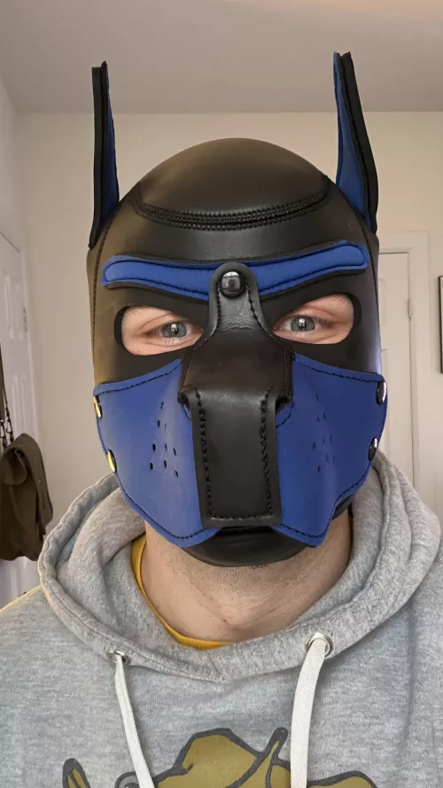 Really loving my first hood by GoNiners_2016