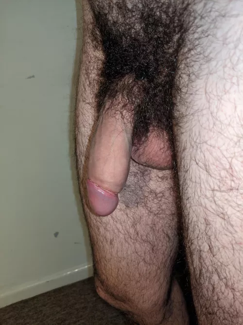 Recent cut by RepresentativeSad416