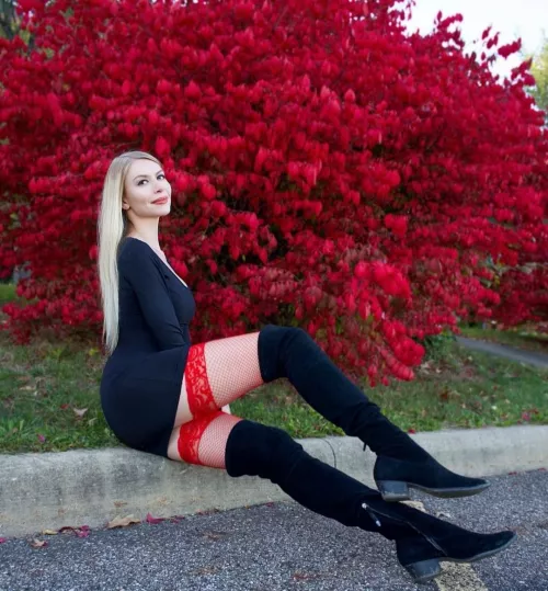 Red everywhere 🥰 by LeggyAnna