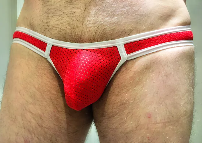 Red mesh bikini... by Briefcase000