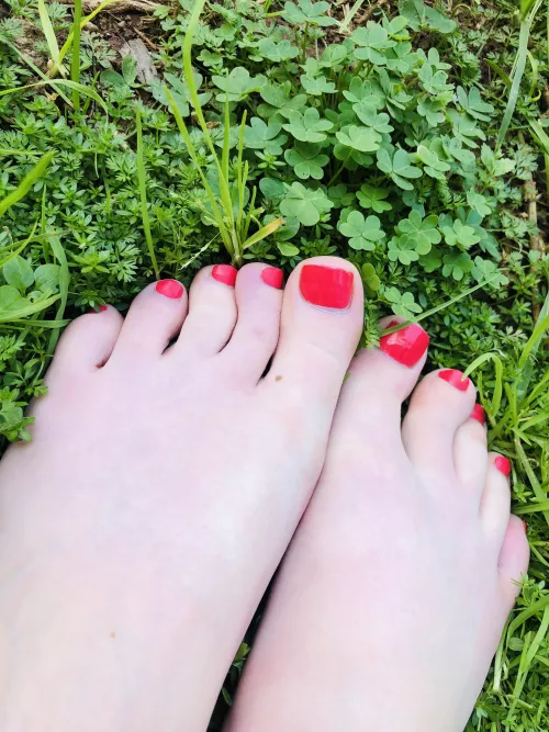 Red pedicure in nature 🍀 by BelfastBellexo