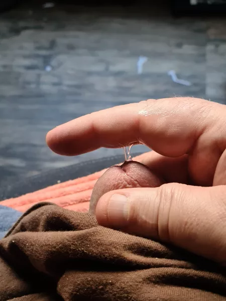 Reddit got me going again (m) 49 by HornyAus71