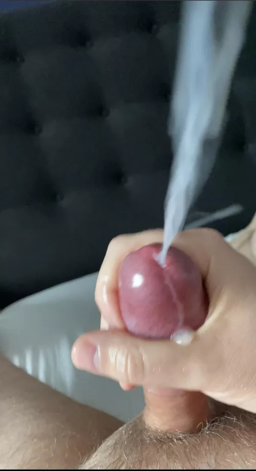 Reddit got me like : by Burner_Potato