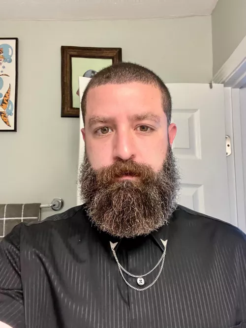 Regretting my Taco Bell Order by harkymatch