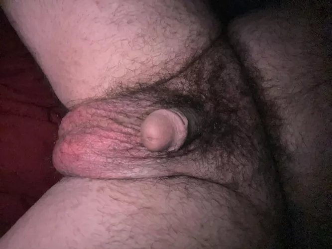 Relaxed bear nuts, all freshly cleaned. by Wolfsbane1007