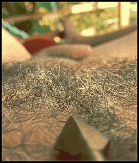 Relaxed in the sun… by bennowolf84