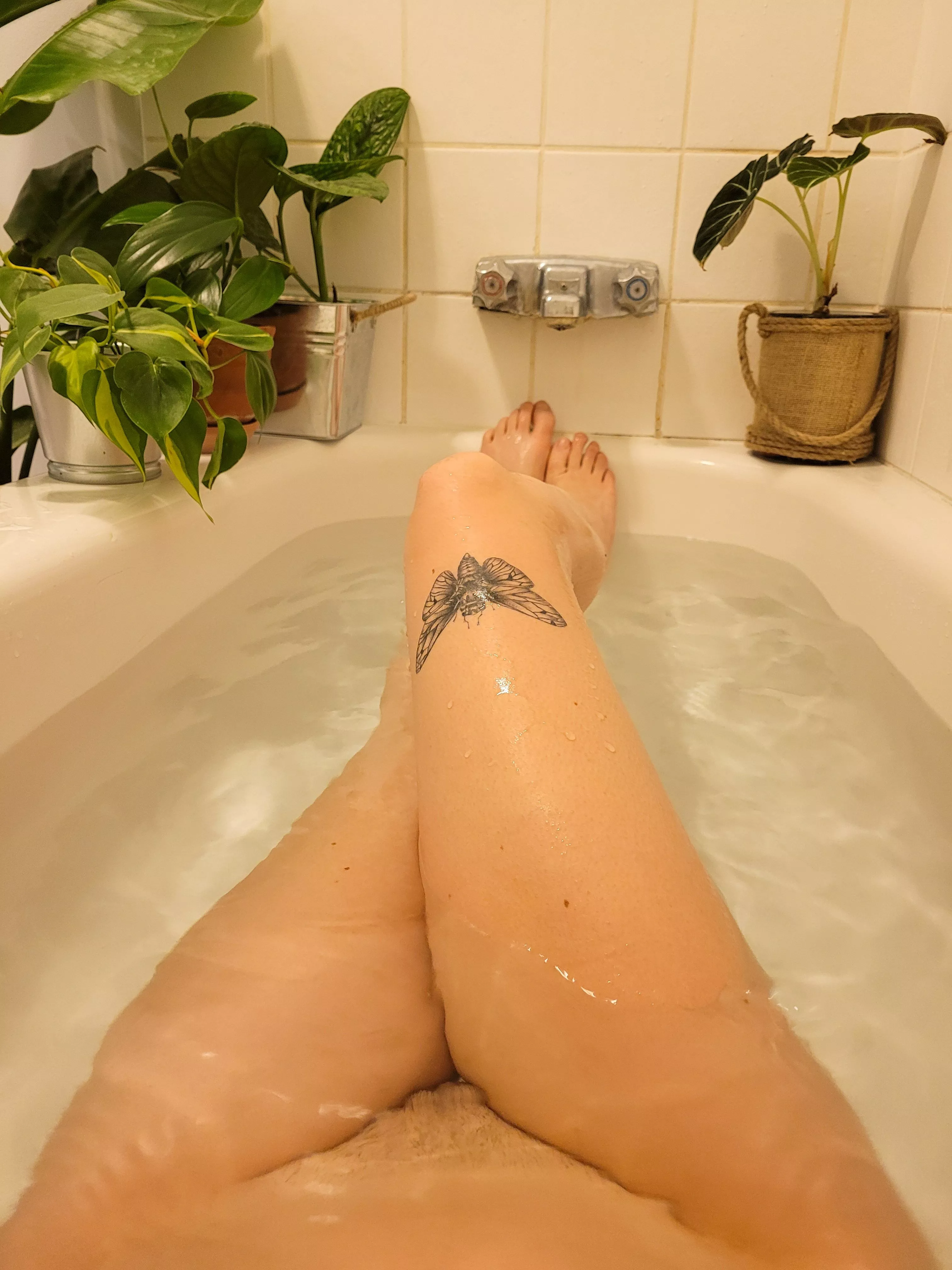 relaxing after a long day🪴🧼 posted by graceivy420