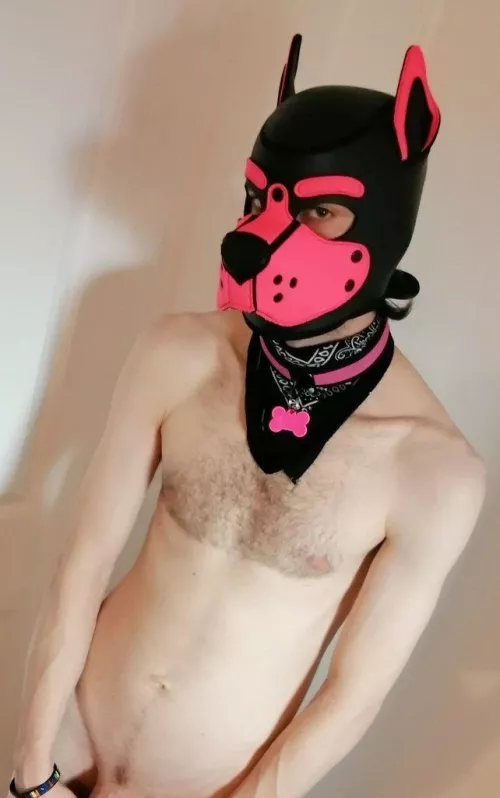 Relaxing before the weekend ends... 🐾😊 by pinkpuppyjinx