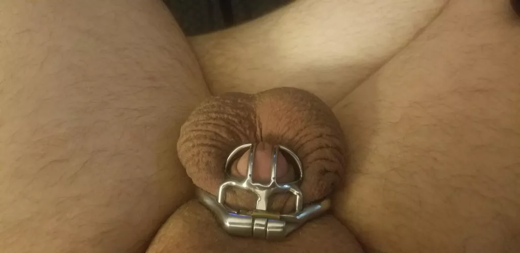 Relocked after supervised cleaning. by LockedforGoddessNiq