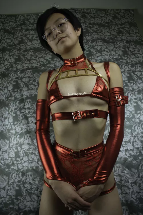 Respectfully by BuddingRoselia