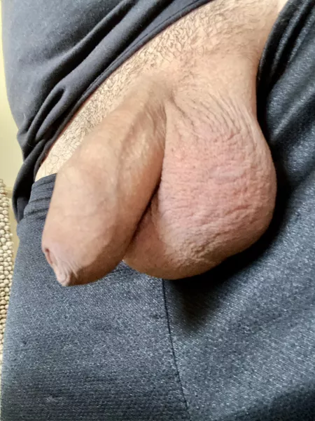 Resting dick face by Mytaintistoight