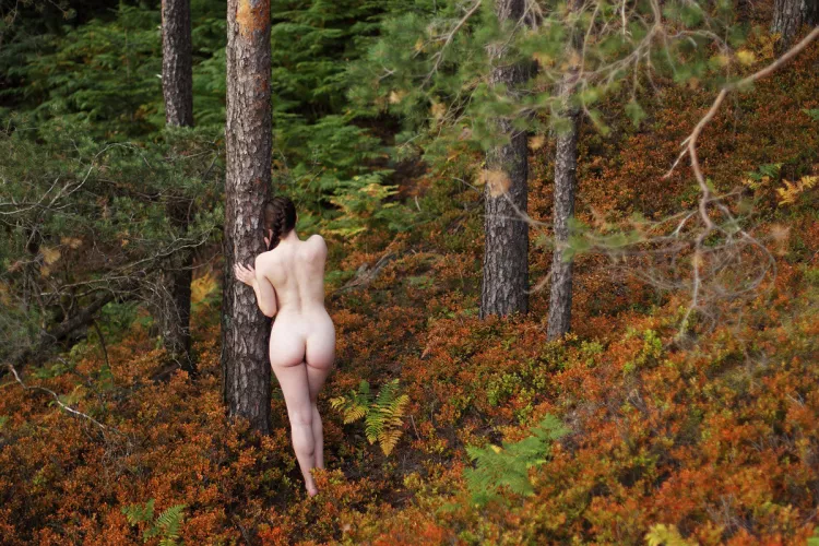 Retreat by paredocks