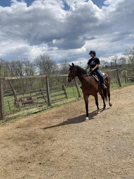 Ride em by Cjay72915