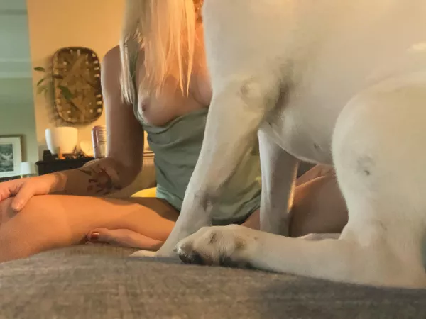 Right after I set my timer, this nosy pup decided to hop on the couch and steal the show by danimcride