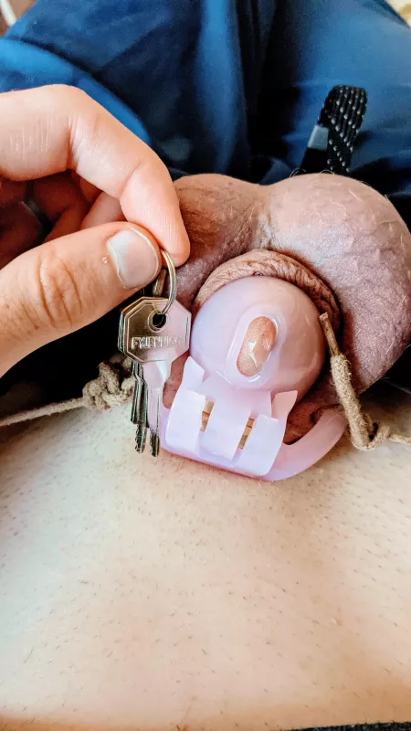 right where it should be by Guilty_Warning_7600