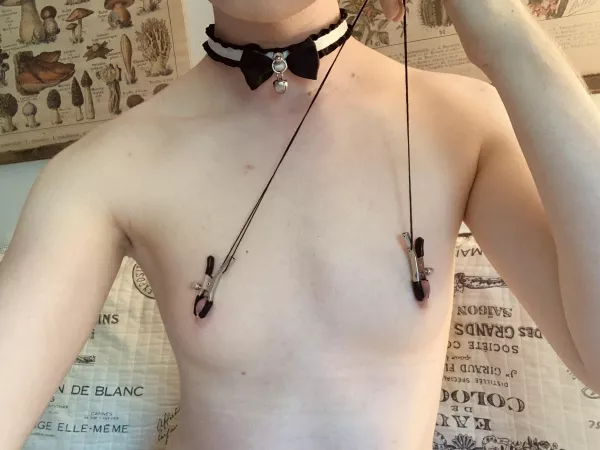 Ring my bell 🔔 by elfprince_ftm