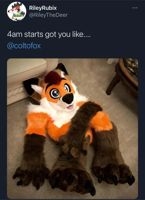 Rise and grind fluffbutt by FurryCoatRack