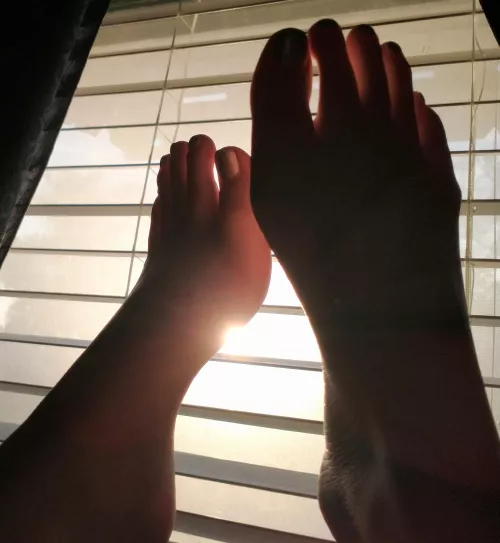 Rise and shine by ImaginaryFormulas