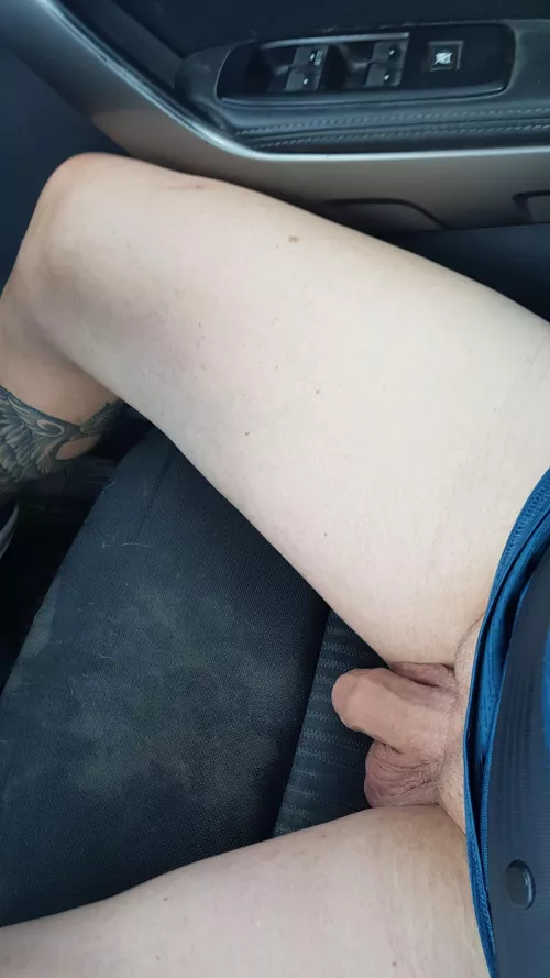 Road trip softie 😜 by kiwidude78