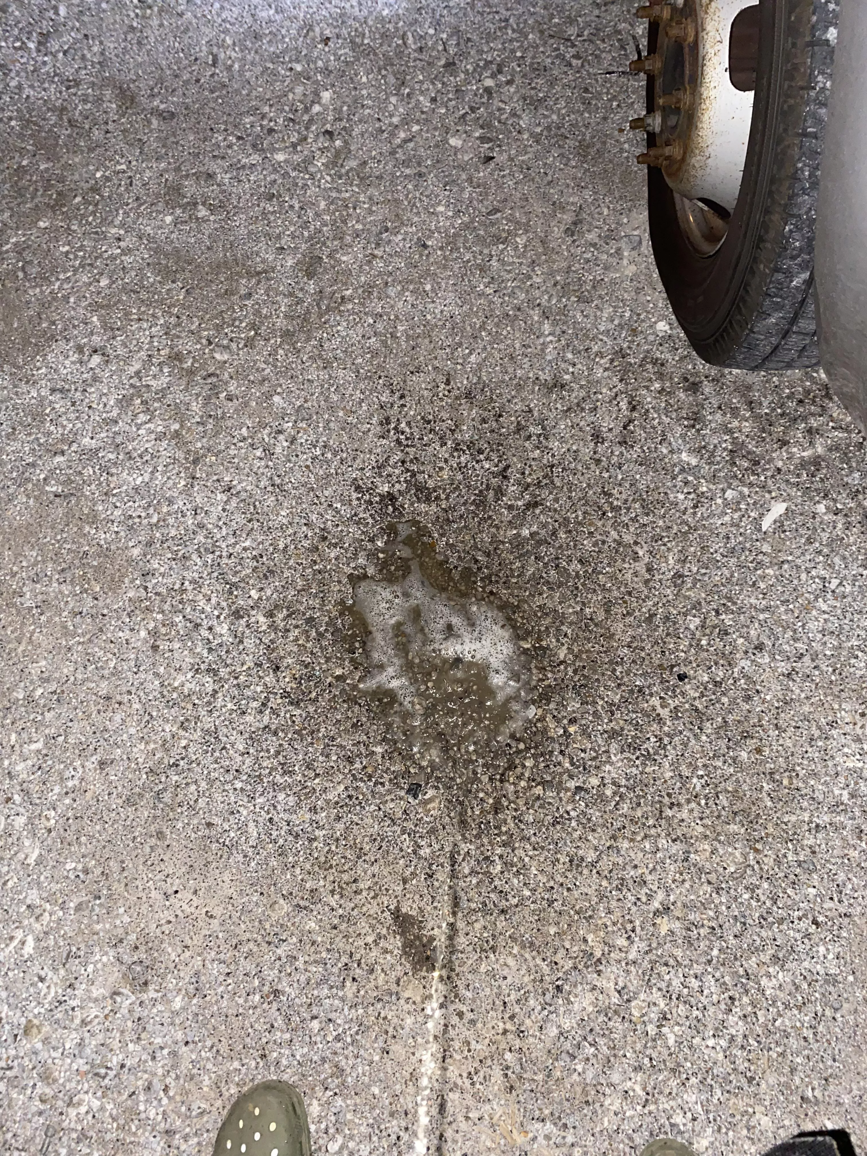 Roadside. posted by Scary_Pattern_3654