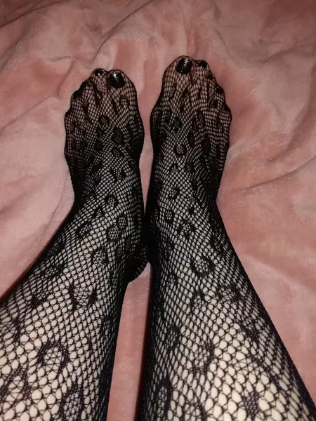 🐆 ROAR!!! 🐆 by [deleted]