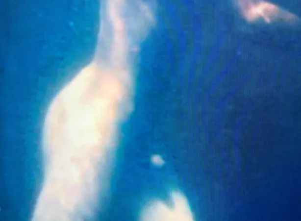 Robert Sheehan by cassandras_eyes