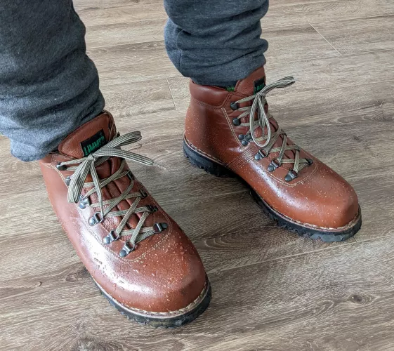 Rocked the Limmers in the snow the other day.