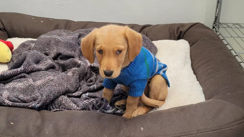 Rockin a new sweater. by Optimus_Swine71