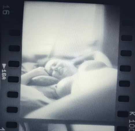 Rough preview scan of a recent film shoot (OC). by YogiandClimber