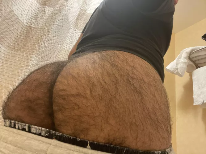 Round and ready 😏 by gayandhairy