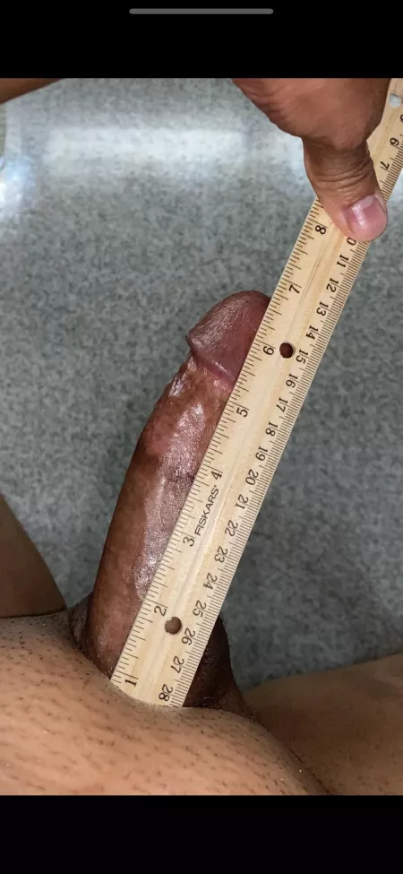 Round up to 6.75 BP? x 5.25 Girth by bgmangsissycd