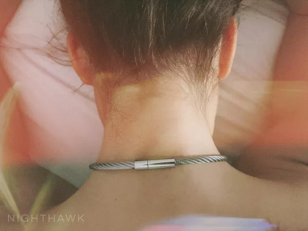 Roxy’s collar by trystsandturns