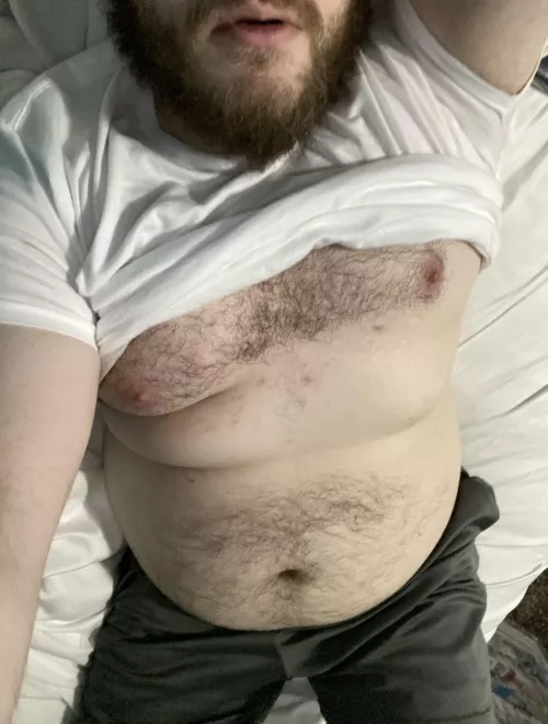 Rub my fuzzy belly? 🤗 by Bearamones