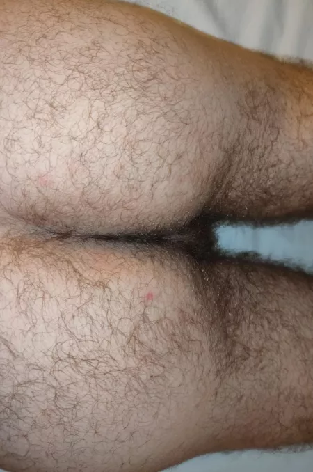 Rub your face in that furry pocket by hairyboiii